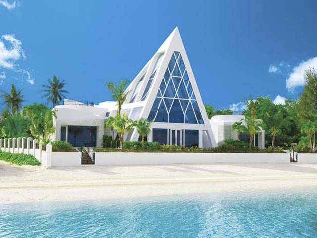 幸福藍星Blue Aster