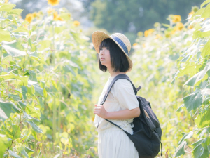 「我的青社時代」：打造屬於你的夢想藍圖